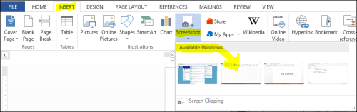 insert screenshot of available windows