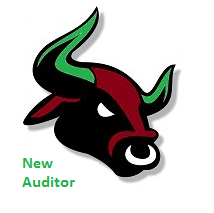 new-auditor